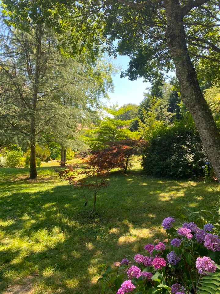 Le jardin aquatique d'Acorus