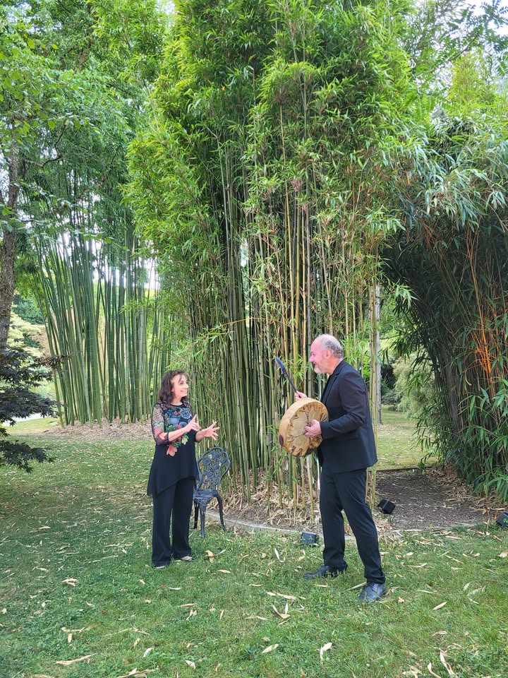 Le jardin aquatique d'Acorus